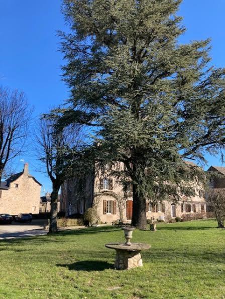 Le Clos D'Albray - Chambres D'Hotes Et Gite Comps-la-Grand-Ville Zewnętrze zdjęcie